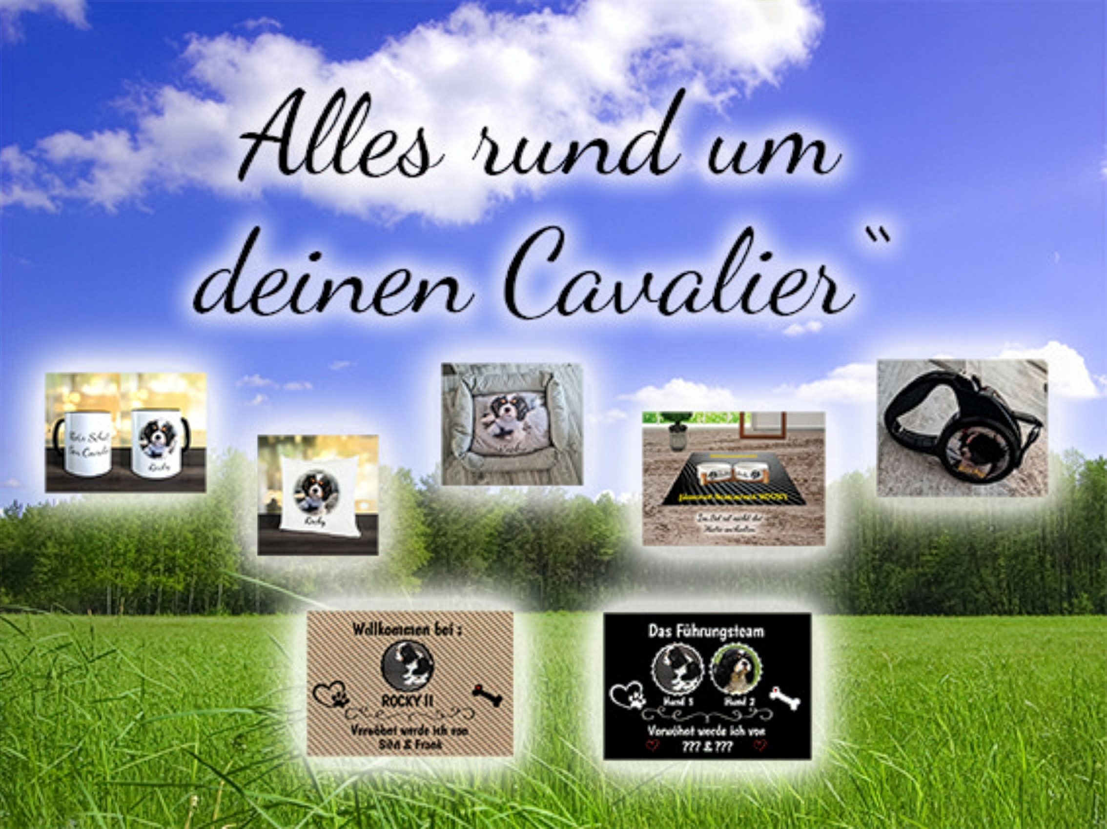 Cavalier Hunde Shop