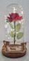 Preview: Rose im Glas m. Beleuchtung