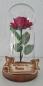 Preview: Rose im Glas m. Beleuchtung