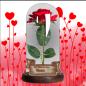 Preview: Rose im Glas m. Beleuchtung