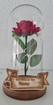 Rose im Glas m. Beleuchtung