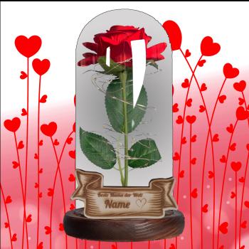 Rose im Glas m. Beleuchtung