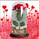 Rose im Glas m. Beleuchtung